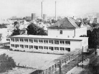 Nova cesa 1964. godine, osnovna škola